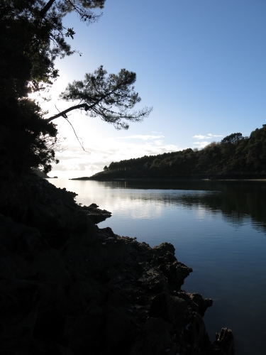 bar à la mouche, peche du bar, bar à vue, bar en estuaire, gros bars à la mouche, jean-baptiste vidal guide de pêche, enjoy fishing