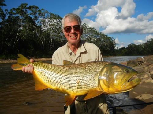 tsimane lodge, dorado, bolivie, pacu, pêche a la mouche, jungle bolivienne, untamed angling, enjoyfishing