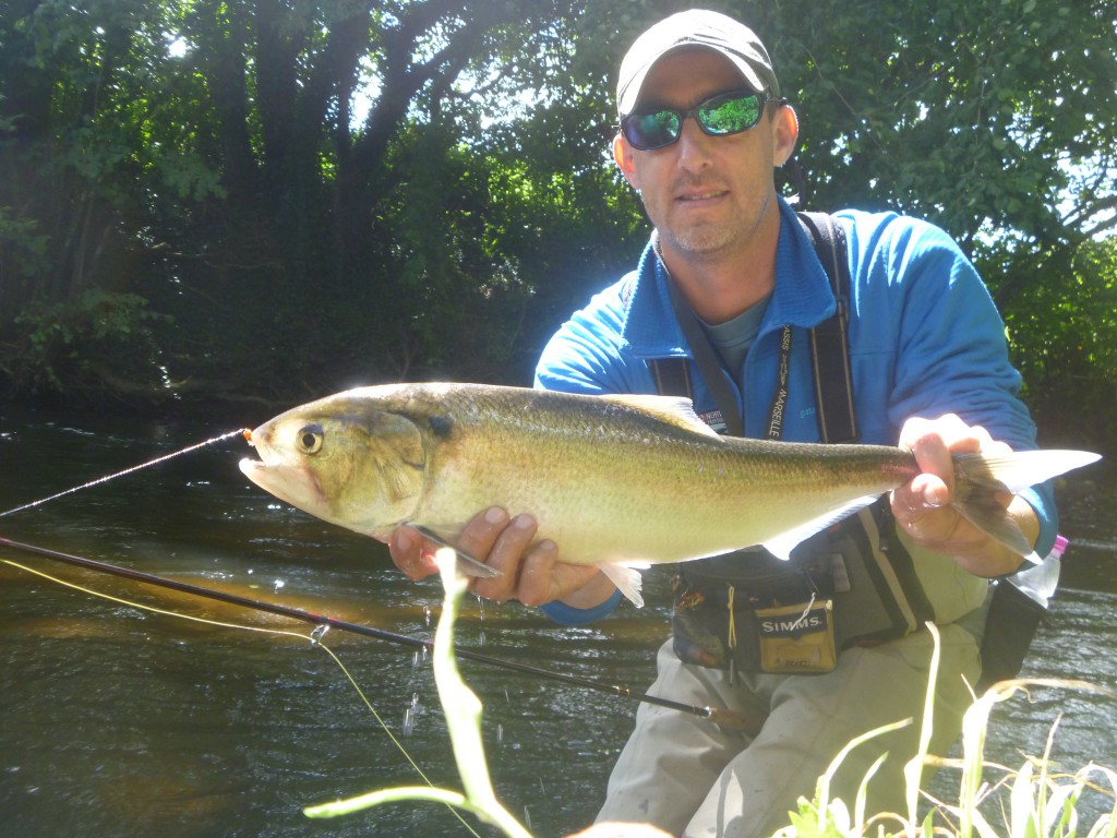 pêche du saumon en bretagne Enjoy Fishing