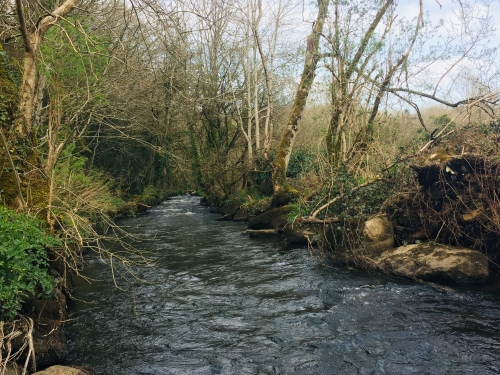 peche de la truite,truite en nymphe,nymphe au fil,peche truite bretagne,rivière bretonne,pêche à la mouche,peche de la truite à la mouche,peche en bretagne; guide de pêche en bretagne