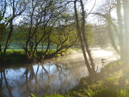 peche du saumon en Bretagne, saumon atlantique en France, meilleures rivières à saumon de Bretagne, guide de pêche au saumon, Jean-Baptiste Vidal guide de pêche à la mouche en Bretagne, Enjoy Fishing, Guide de pêche bretagne