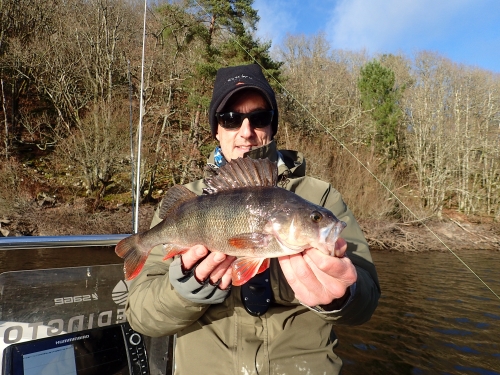 pêche du sandre,pêche en verticale,sandre en verticale,sandre au leurre,lac de guerlédan,sandre en bretagne,peche du sandre au leurre,enjoy fishing,jean-baptiste vidal moniteur-guide de pêche,pêche de la perche,perche en verticale,pêche en lac de barrage,sandre en lac de barrage