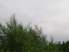 DSCN5894.JPG