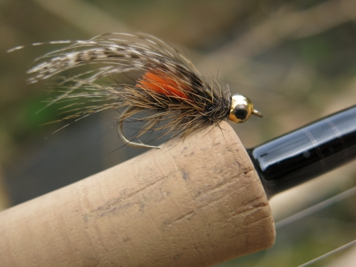 pêche de la truite à la mouche en Bretagne, pêche de la truite en Spey, trout Spey, Spey cast pour la truite, Sage trout Spey, Redington trout spey, Jean-Baptiste Vidal Moniteur-guide pêche, Enjoy Fishing