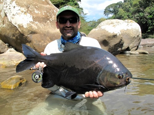 tsimane lodge, dorado, bolivie, pacu, pêche a la mouche, jungle bolivienne, untamed angling, enjoyfishing