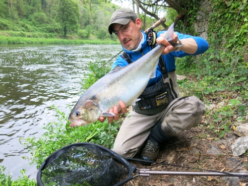 Bilan de la saison saumon en bretagne, saumon à la mouche, saumon en Bretagne, bilan de la saison migrateur, alose, saumon, truite de mer, Enjoy Fishing, Jean Baptiste Vidal