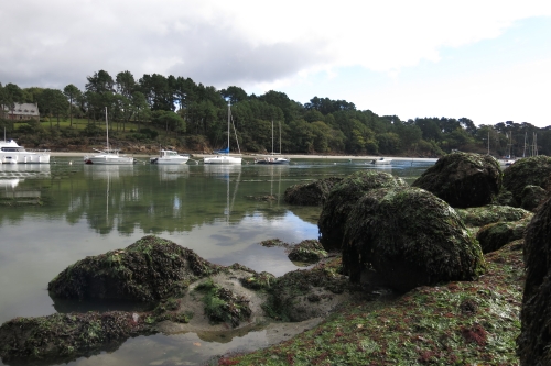 bar à vue, bar à vue à la mouche, gros bars à la mouche, peche du bar à la mouche, traque de bars trophées, gros bars, bars en Bretagne, pêche du bar en Bretagne, Guide de pêche au bar, guide de pêche au bar à la mouche, Jean-Baptiste Vidal Moniteur-Guide, Enjoy Fishing