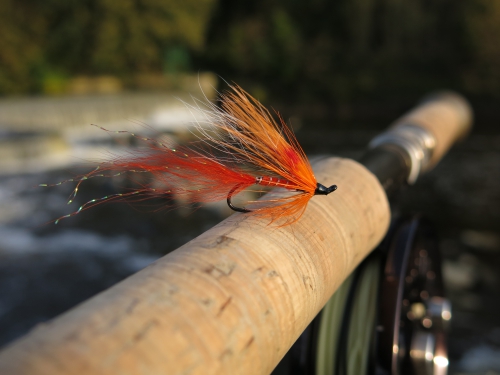 pêche du saumon à la mouche,réglementation bretagne,saumon en bretagne,saumon à la mouche,guide de pêche au saumon en bretagne,guide de pêche à la mouche au saumon,jean-baptiste vidal guide de pêche au saumon