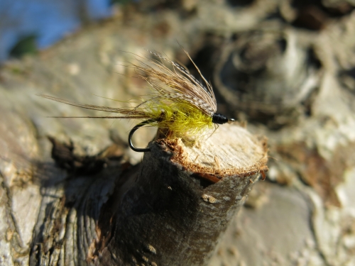 mouche de mai, truite à la mouche, grosse truite bretonne, pêche à la mouche en Bretagne, Jean-Baptiste Vidal Moniteur-Guide de pêche, Enjoy Fishing