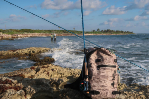 pêche du permit,permit à la mouche,voyage en diy au mexique,pêche du permit au mexique,la fièvre du permit,pêche à la mouche exotique,jean-baptiste vidal moniteur-guide de pêche,enjoy fishing,truites&cie