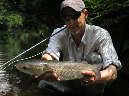 peche du saumon en bretagne,saumon atlantique en france,meilleures rivières à saumon de bretagne,guide de pêche au saumon,jean-baptiste vidal guide de pêche à la mouche en bretagne,enjoy fishing,guide de pêche bretagne