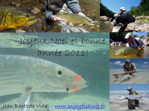 Voeux 2011.JPG
