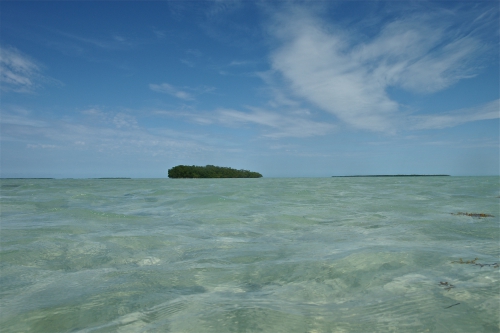 cuba,cayo santa maria,les jardins du roi,pêche du tarpon à la mouche,hosted trip jean-baptiste vidal guide de pêche,enjoy fishing