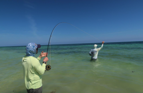 pêche du permit,permit à la mouche,voyage en diy au mexique,pêche du permit au mexique,la fièvre du permit,pêche à la mouche exotique,jean-baptiste vidal moniteur-guide de pêche,enjoy fishing,truites&cie