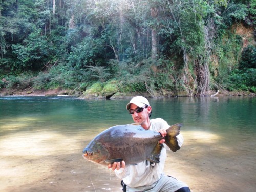 tsimane lodge, dorado, bolivie, pacu, pêche a la mouche, jungle bolivienne, untamed angling, enjoyfishing