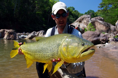 tsimane lodge, dorado, bolivie, pacu, pêche a la mouche, jungle bolivienne, untamed angling, enjoyfishing