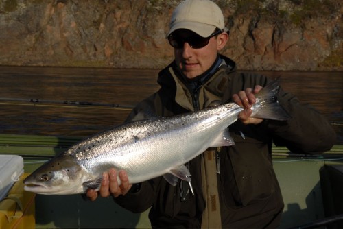 saumon,pêche a la mouche,salmo salar,yokanga,penisule de kola,russie,fly fish yokanga