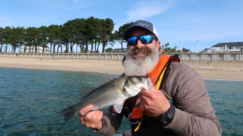 bar à la mouche, pêche du bar, guide pêche mouche bar, gros bar à la mouche, streamer à bar, pêche du bar en bretagne, jean-baptiste Vidal Moniteur-Guide de pêche, Enjoy Fishing,