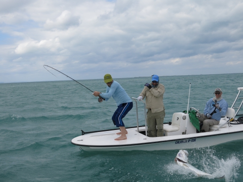 cuba,cayo santa maria,les jardins du roi,pêche du tarpon à la mouche,hosted trip jean-baptiste vidal guide de pêche,enjoy fishing