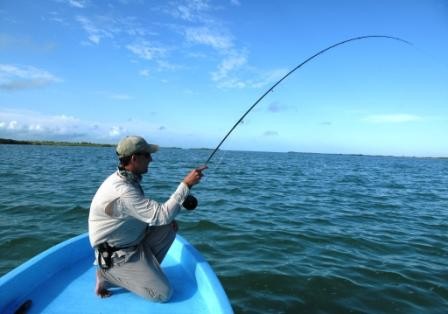 Mexique, Ascencion Bay, Punta Allen, permit, bonefish, tarpon, snook, peche a la mouche, fly fishing, Mexico