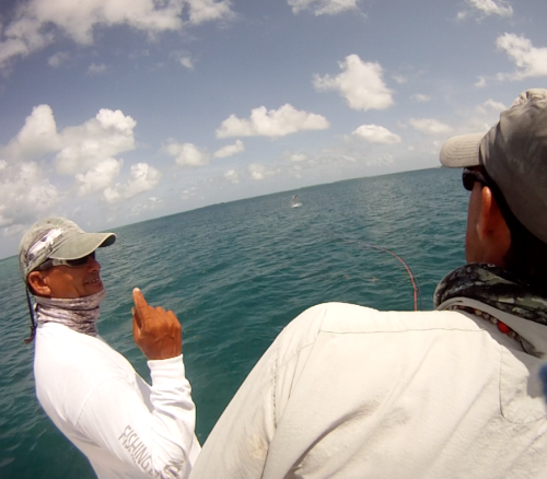 histoire de pêche, tarpon du venezuela, pêche du tarpon à la mouche, gros tarpon à la mouche, pêche à la mouche Los Roques, Jean-Baptiste Vidal Moniteur-Guide de pêche, Enjoy Fishing