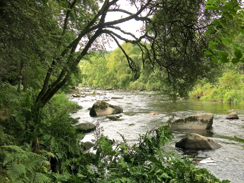 peche du saumon en Bretagne, saumon atlantique en France, meilleures rivières à saumon de Bretagne, guide de pêche au saumon, Jean-Baptiste Vidal guide de pêche à la mouche en Bretagne, Enjoy Fishing, Guide de pêche bretagne