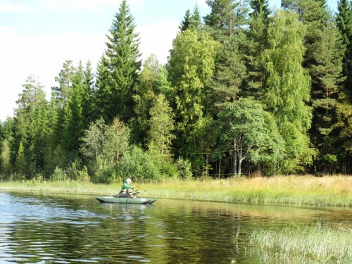 Norvège, Rena river, truites, ombres, brochets, pêche en sèche, dry fly fishing, enjoy fishing