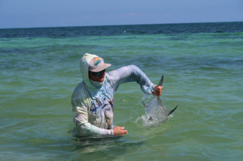 pêche du permit,permit à la mouche,voyage en diy au mexique,pêche du permit au mexique,la fièvre du permit,pêche à la mouche exotique,jean-baptiste vidal moniteur-guide de pêche,enjoy fishing,truites&cie