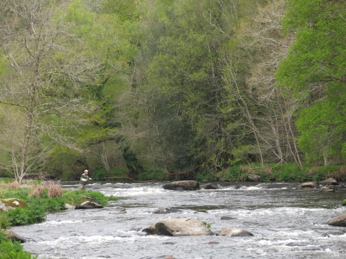 peche du saumon en Bretagne, saumon atlantique en France, meilleures rivières à saumon de Bretagne, guide de pêche au saumon, Jean-Baptiste Vidal guide de pêche à la mouche en Bretagne, Enjoy Fishing, Guide de pêche bretagne