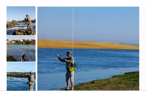 bar à la mouche,peche du bar,bar à vue,bar en estuaire,gros bars à la mouche,jean-baptiste vidal guide de pêche,enjoy fishing