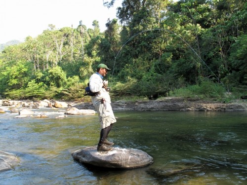 tsimane lodge, dorado, bolivie, pacu, pêche a la mouche, jungle bolivienne, untamed angling, enjoyfishing