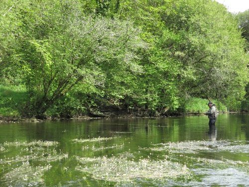 pêche en reservoir,réservoir mouche,pêche à la mouche en bretagne,guide de pêche en bretagne,réservoir parc er bihan,jean-baptiste vidal moniteur-guide de pêche,enjoy fishing