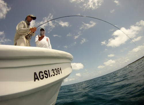 histoire de pêche, tarpon du venezuela, pêche du tarpon à la mouche, gros tarpon à la mouche, pêche à la mouche Los Roques, Jean-Baptiste Vidal Moniteur-Guide de pêche, Enjoy Fishing