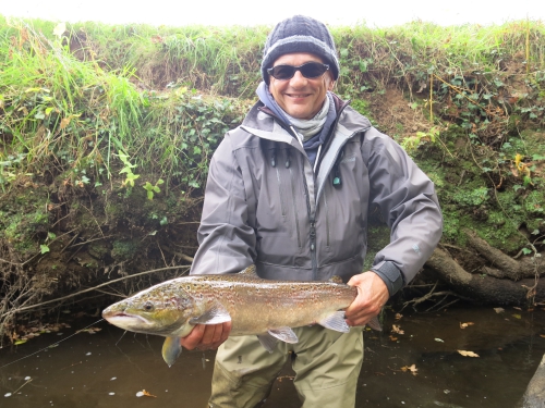 bilan peche des migrateurs en bretagne,report fin de saison saumon,compte rendu saison saumon bretagne,jean-baptiste vidal guide de peche à la mouche en bretagne,enjoy fishing