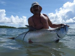 tarpon.jpg
