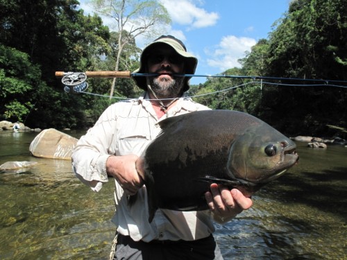 tsimane lodge, dorado, bolivie, pacu, pêche a la mouche, jungle bolivienne, untamed angling, enjoyfishing