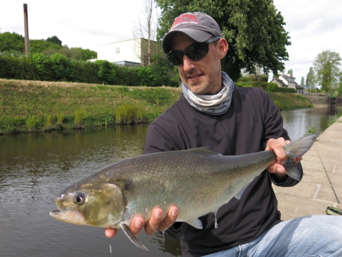 Pêche des migrateurs, pêche du saumon en Bretagne, pêche de l'alose en Bretagne, Jean-Baptiste Vidal guide de pêche, pêche à la mouche en Bretagne, Alose, saumon, Enjoy Fishing