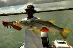 snook.jpg