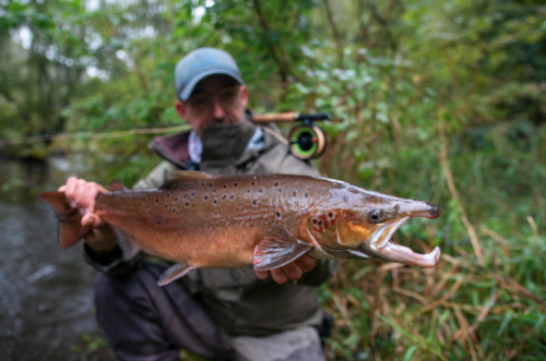 pêche du saumon en bretagne,saumon mouche bretagne,guide de pêche au saumon,guide peche mouche saumon,saumon de bretagne,peche du saumon,saumon à la mouche,jean-baptiste vidal moniteur-guide de pêche,enjoy fishing