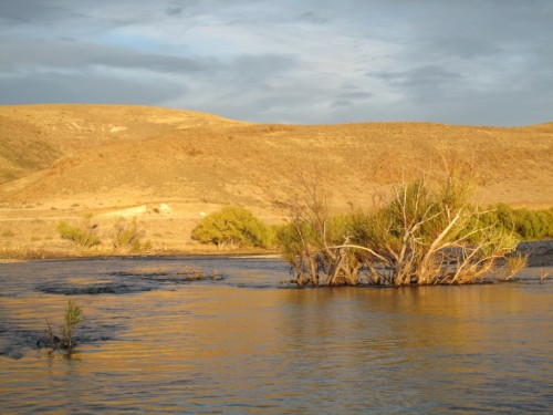 Collon Cura, Patagonie du Nord, pêche a la mouche, truite fario, truite arc en ciel, Patagonia, enjoyfishing