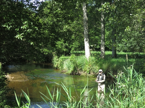 peche de la truite à la mouche, pêche truite mouche bretagne, initiation peche à la mouche, perfectionnement peche a la mouche, guide de peche à la mouche, truite fario sauvage, jean-baptiste vidal guide de peche a la mouche, enjoy fishing