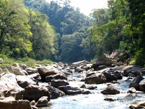 tsimane lodge, dorado, bolivie, pacu, pêche a la mouche, jungle bolivienne, untamed angling, enjoyfishing