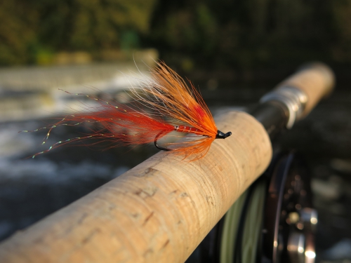 bilan de la saison migrateur en bretagne,bilan de la saison saumon,peche a la mouche des migrateurs,saumon,alose,truite de mer,peche du saumon en france,ellé,aulne,elorn,aven,enjoy fishing,jean baptiste vidal