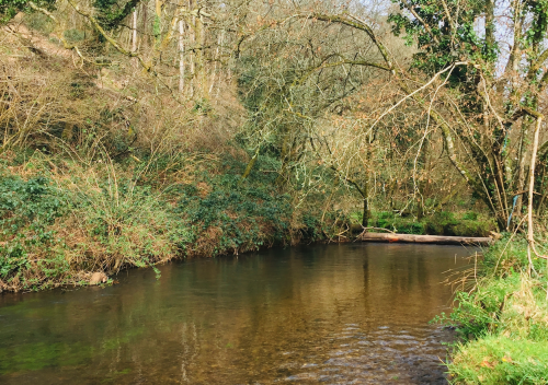 peche de la truite, truite en nymphe, nymphe au fil, peche truite bretagne, rivière bretonne, pêche à la mouche, peche de la truite à la mouche, peche en bretagne; guide de pêche en bretagne