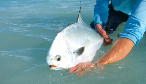 Cuba, Cayo Cruz, Avalon, pêche du permit et du tarpon, Jean-Baptiste Vidal guide de pêche à la mouche en Bretagne