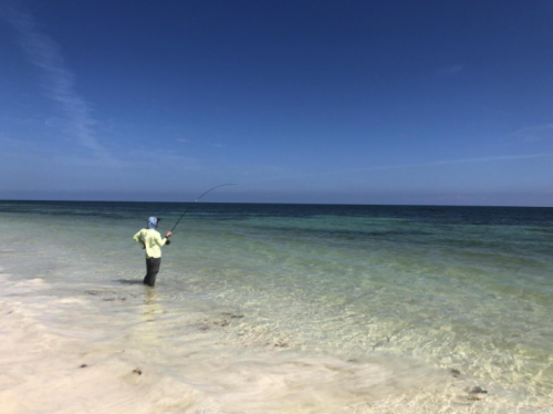 pêche du permit,permit à la mouche,voyage en diy au mexique,pêche du permit au mexique,la fièvre du permit,pêche à la mouche exotique,jean-baptiste vidal moniteur-guide de pêche,enjoy fishing,truites&cie