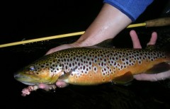 DSCN5922.JPG
