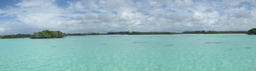 Nouvelle calédonie, bonefish, bonefish trophée, bonefishing, peche a la mouche, saltwater, enjoyfishing