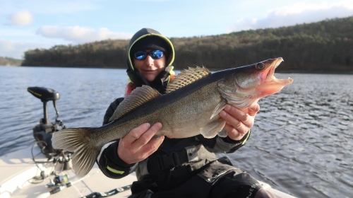 pêche du sandre,pêche en verticale,sandre en verticale,sandre au leurre,lac de guerlédan,sandre en bretagne,peche du sandre au leurre,enjoy fishing,jean-baptiste vidal moniteur-guide de pêche