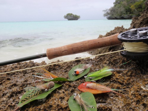 Nouvelle calédonie, bonefish, bonefish trophée, bonefishing, peche a la mouche, saltwater, enjoyfishing